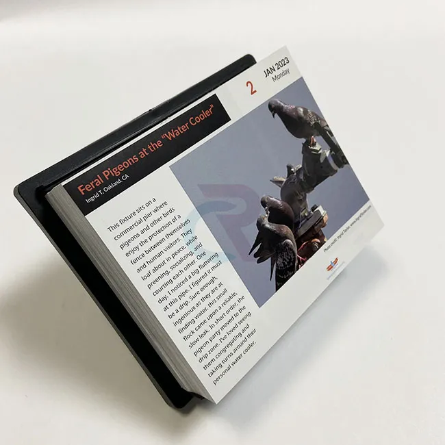 맞춤형 디자인을 일일 페이지 달력에 어떻게 통합할 수 있나요?